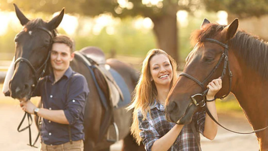 Introducing Smart Shopping Saddles