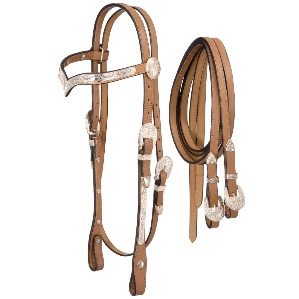 Royal King V Browband Show Headstall