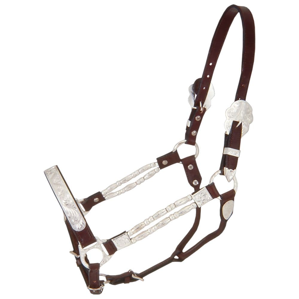 Royal King Silver Ferrules Show Halter