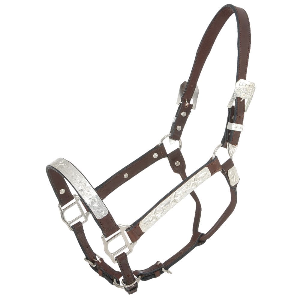 Royal King Raised Star Show Halter