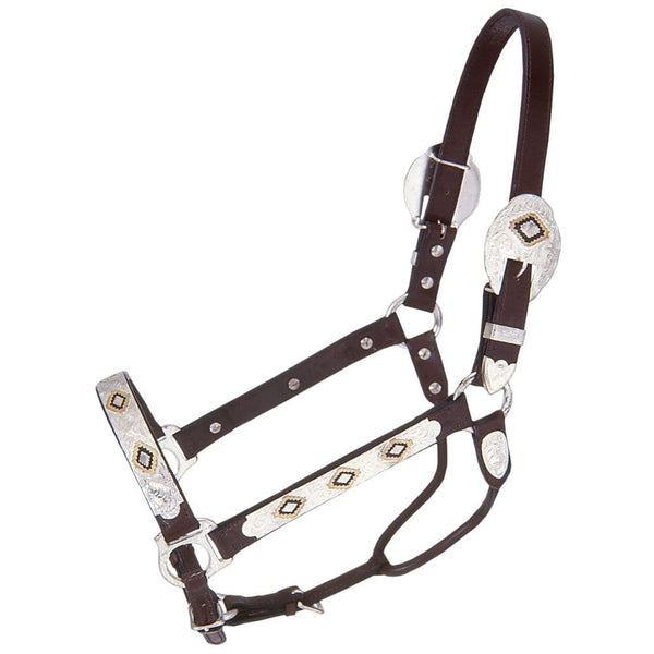 Royal King Gold & Black Silver Show Halter