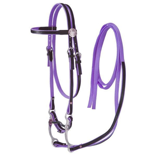 King Series® Nylon Browband Bridle with Leather Overlay