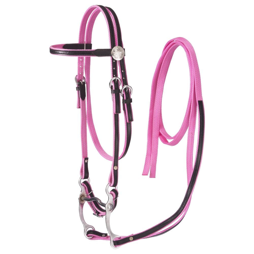 King Series® Nylon Browband Bridle with Leather Overlay