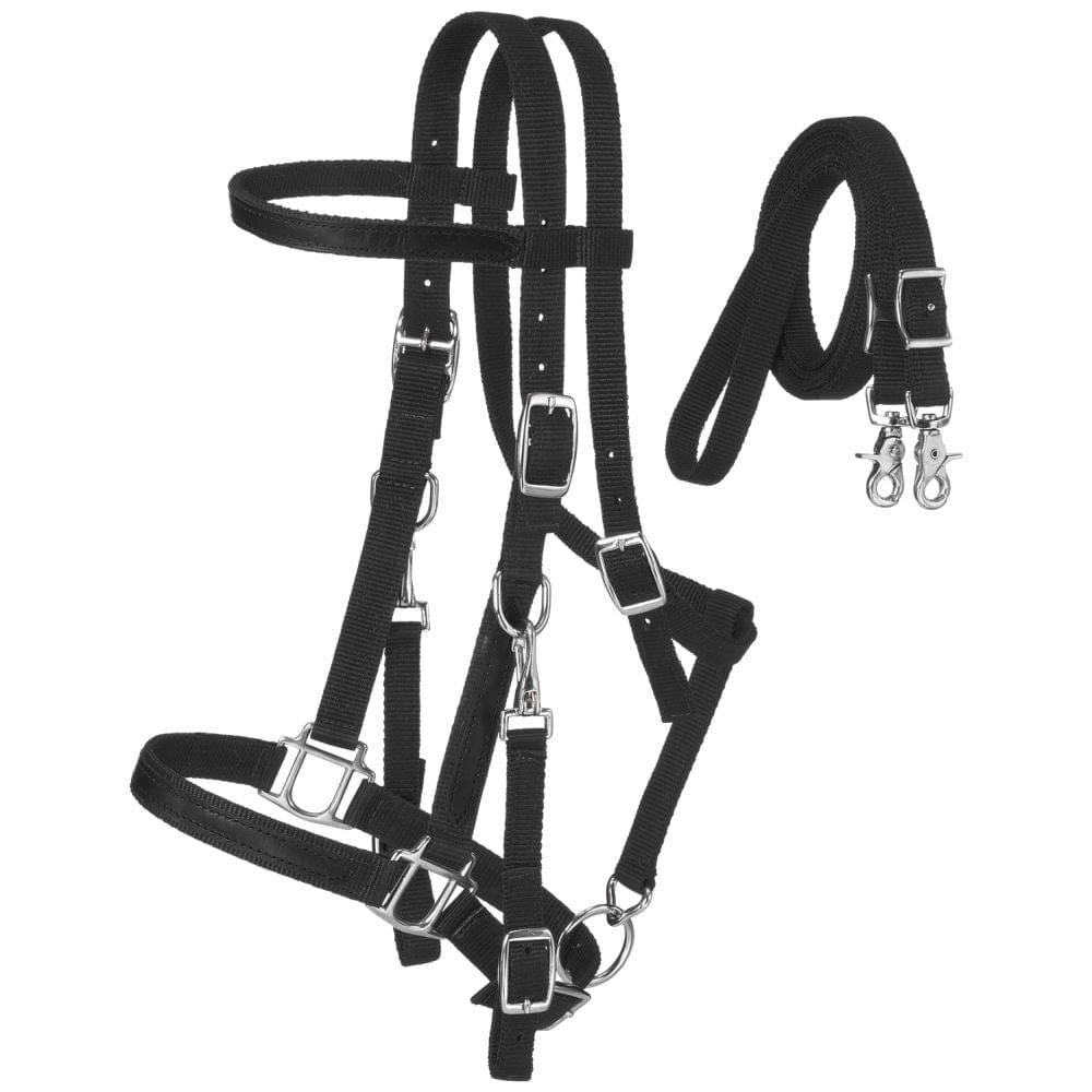 King Series® Nylon Halter/Bridle Combo with Reins