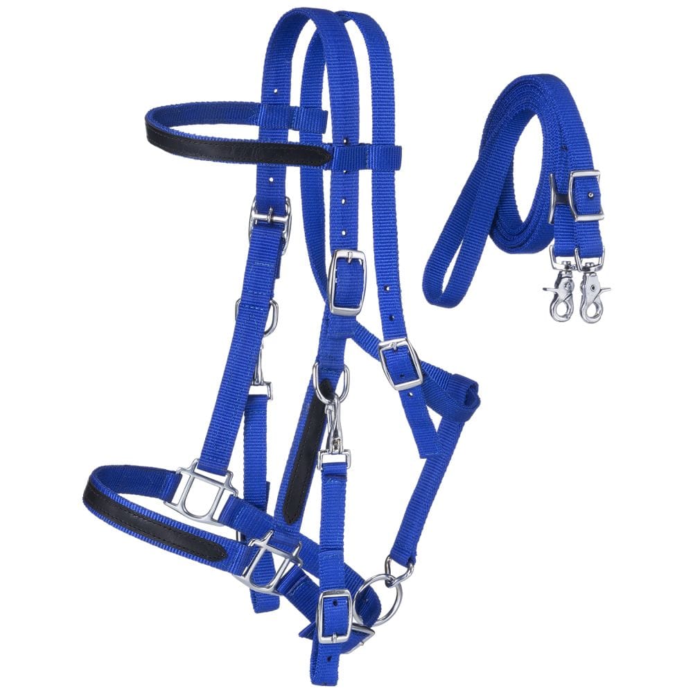 King Series® Nylon Halter/Bridle Combo with Reins