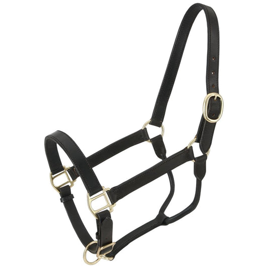 Royal King® Leather Stable Halter