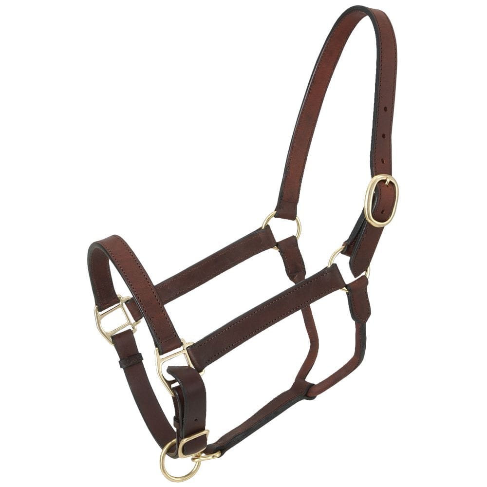 Royal King® Leather Stable Halter