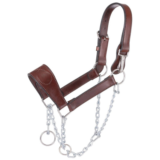 Royal King® Leather Mule Halter with Draw Chain
