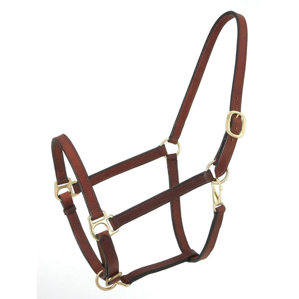 Royal King® Narrow Leather Track Halter