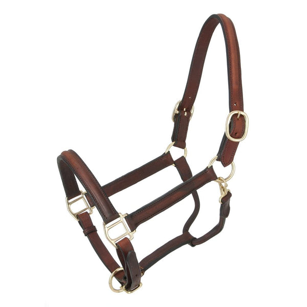 Royal King® Raised Leather Halter