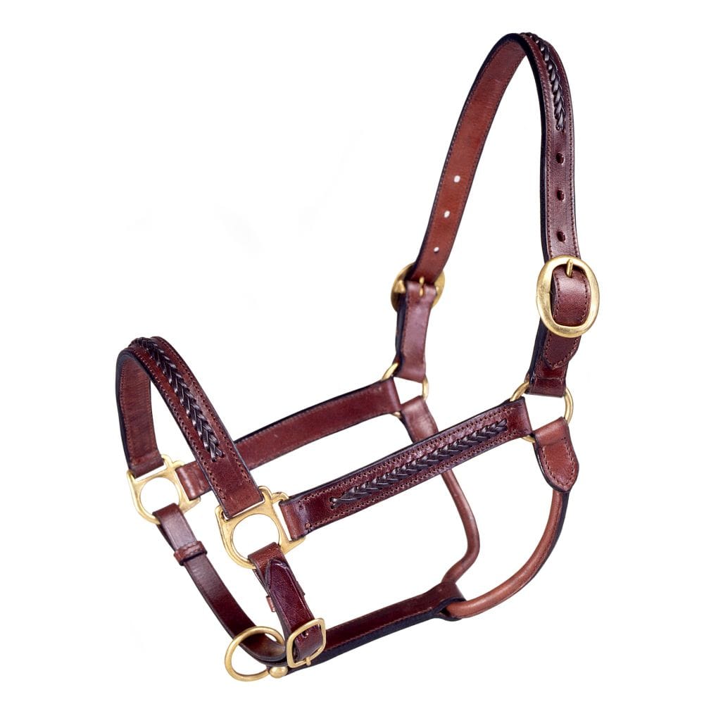 Royal King® Braided Leather Halter