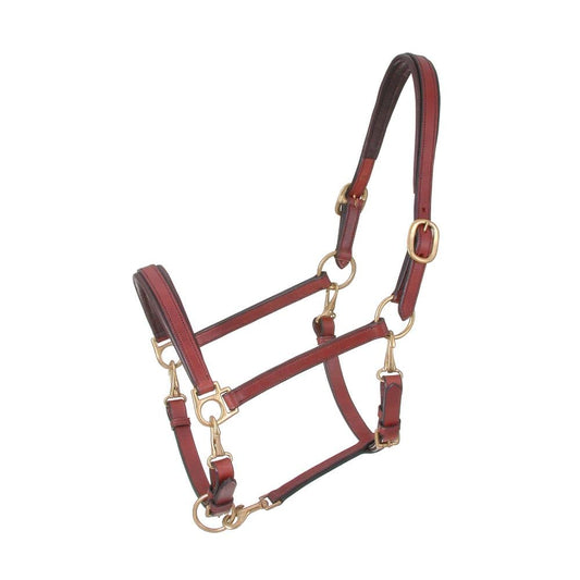 Royal King® 4-Way Stable/Grooming Halter