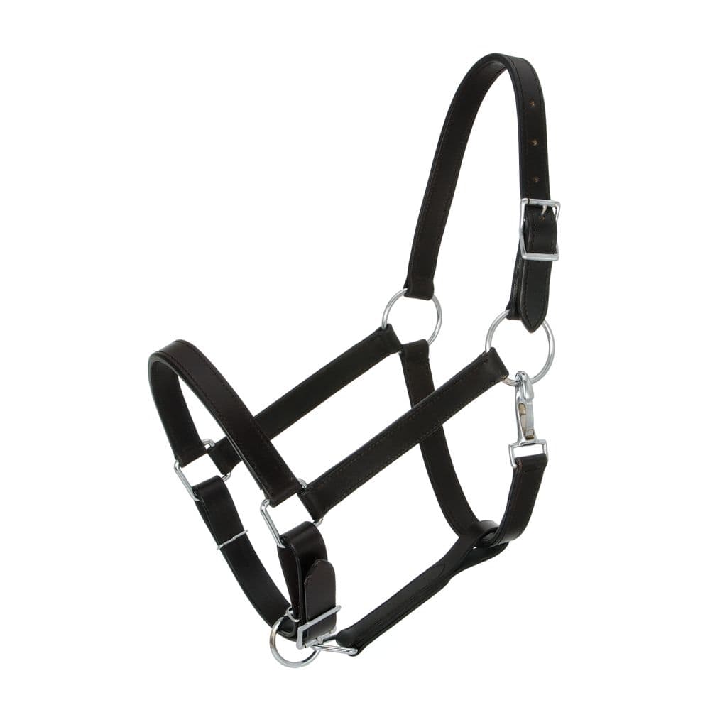 Royal King® Draft Horse Stable Halter