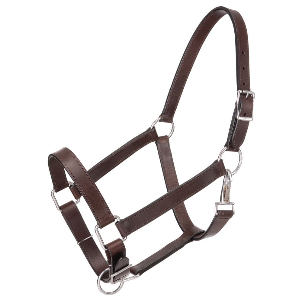 Royal King® Draft Horse Stable Halter