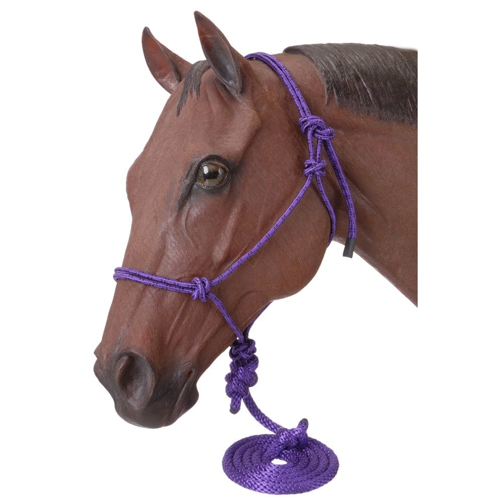 Tough1® Poly Rope Halter with Lead