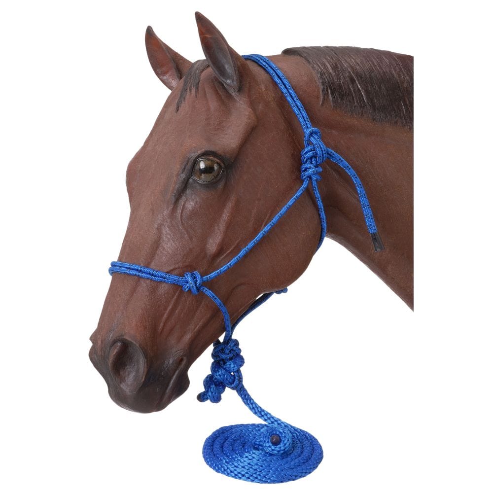 Tough1® Poly Rope Halter with Lead - 6 Pack