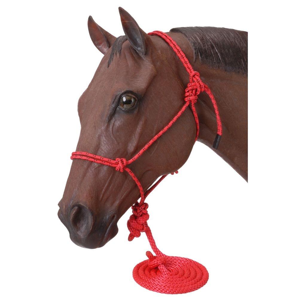 Tough1® Poly Rope Halter with Lead