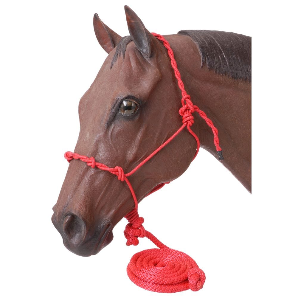 Tough1® Knotted Rope Halter with Lead