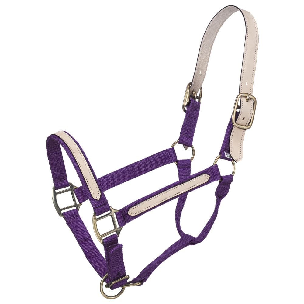 Tough1® Nylon Breakaway Halter