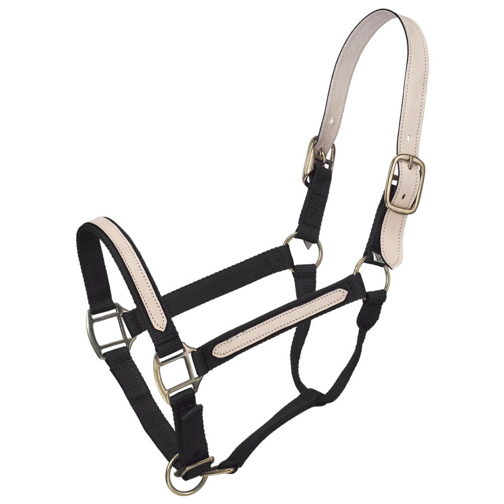 Tough1® Nylon Breakaway Halter