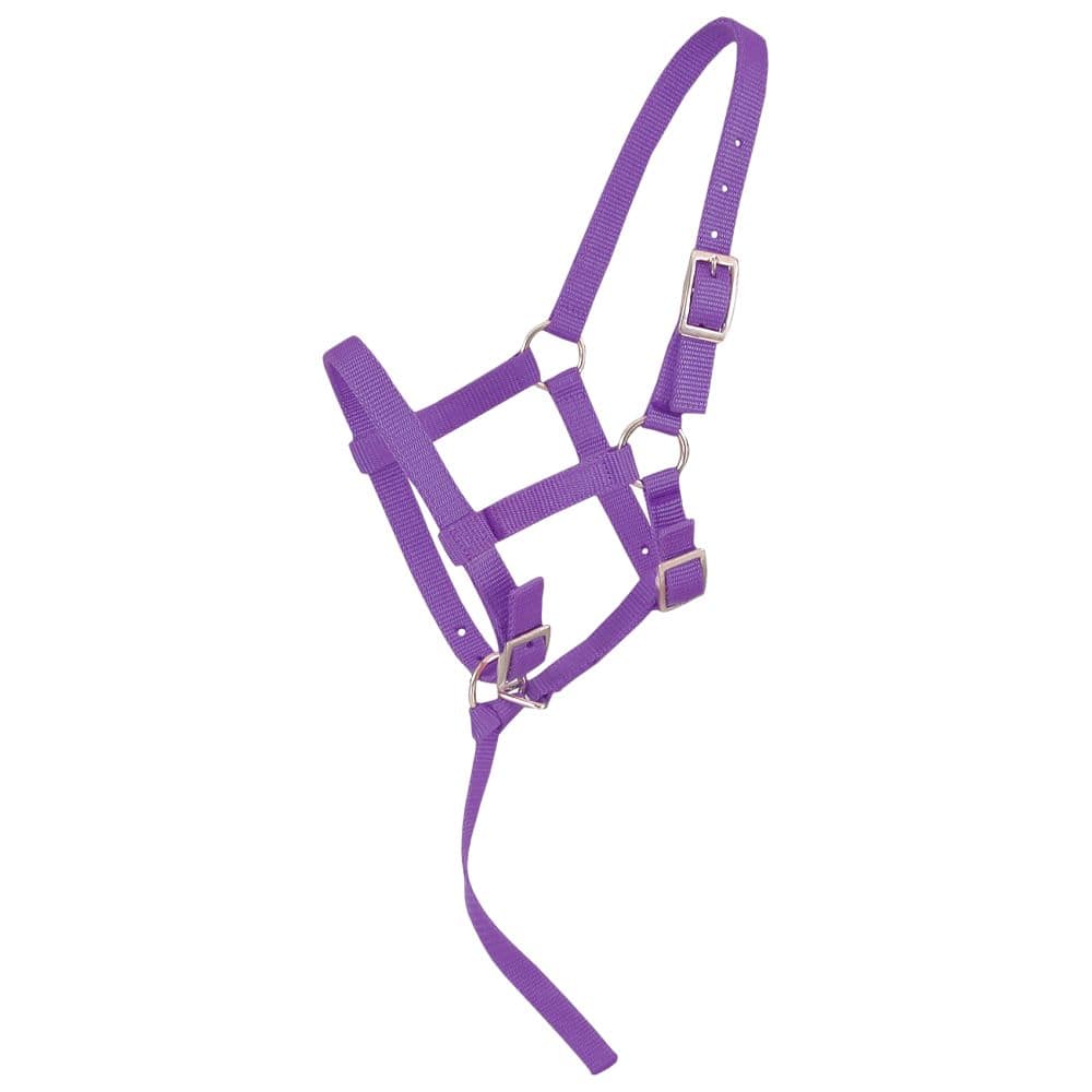 Tough1® Adjustable Foal Halter