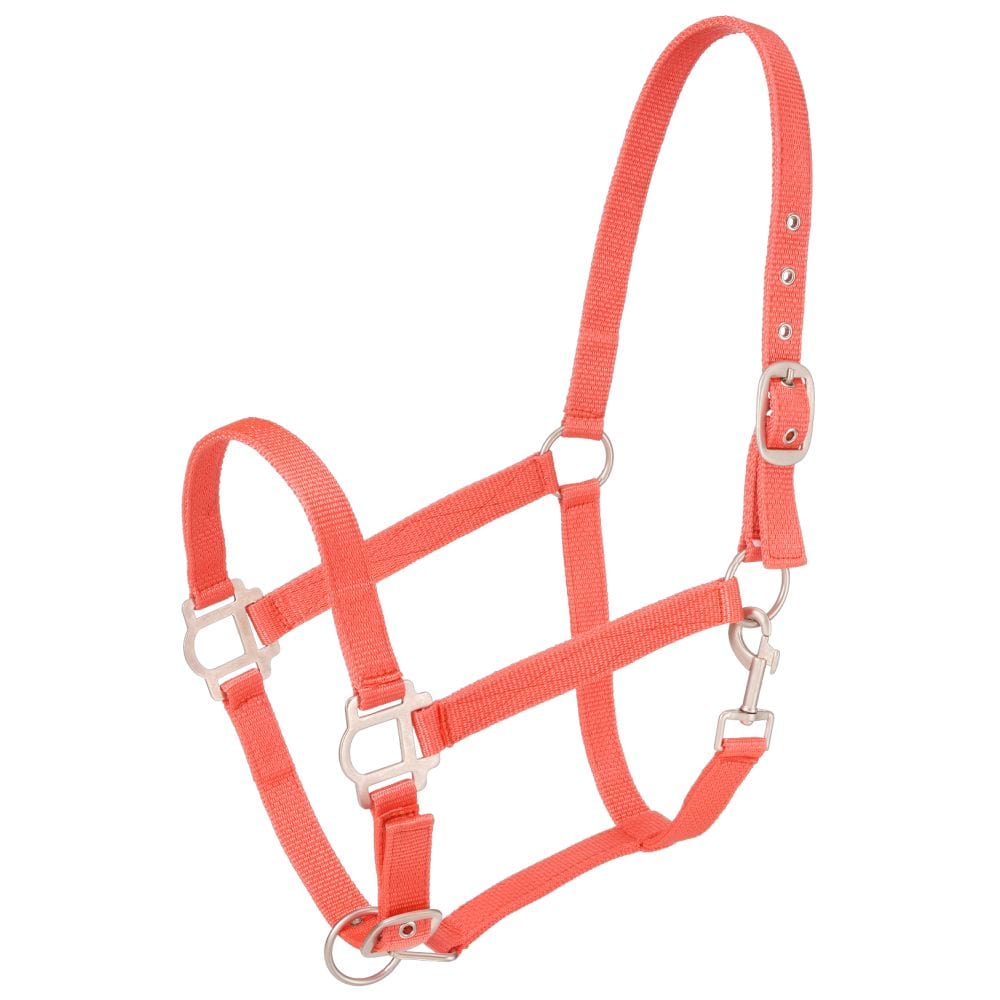 Tough1® Nylon Horse Halter with Satin Hardware