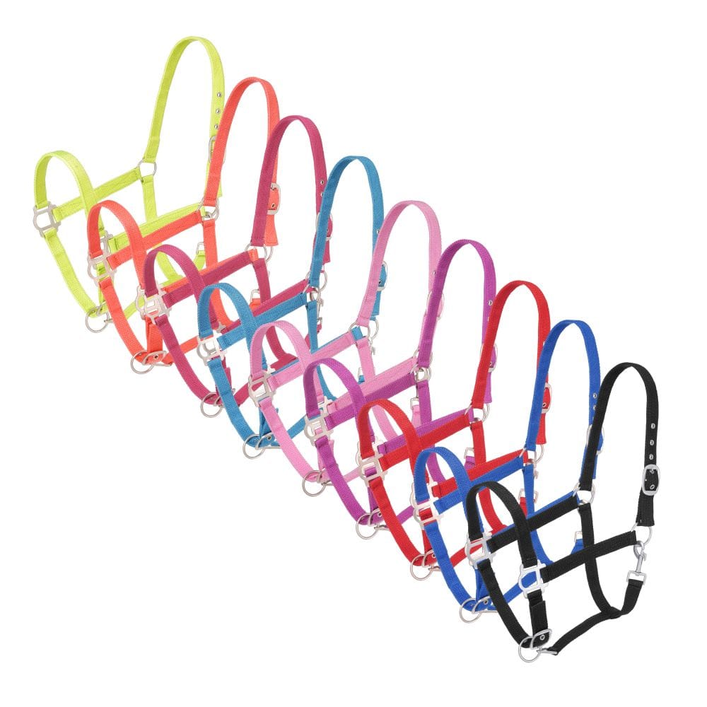 Tough1® Nylon Halter with Satin Hardware (assorted sizes) - 6 Pack