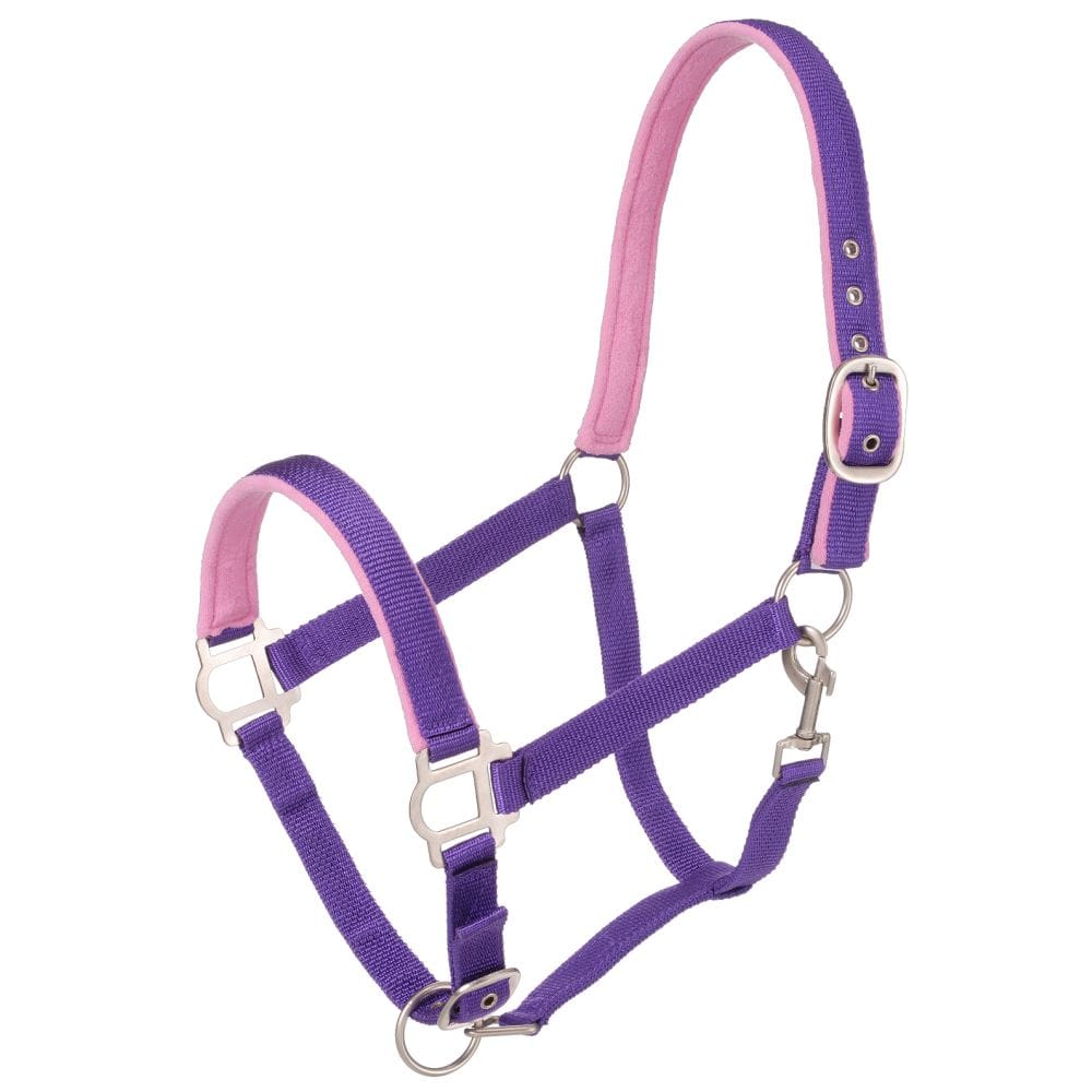 Tough1® Padded Yearling Halter with Satin Hardware