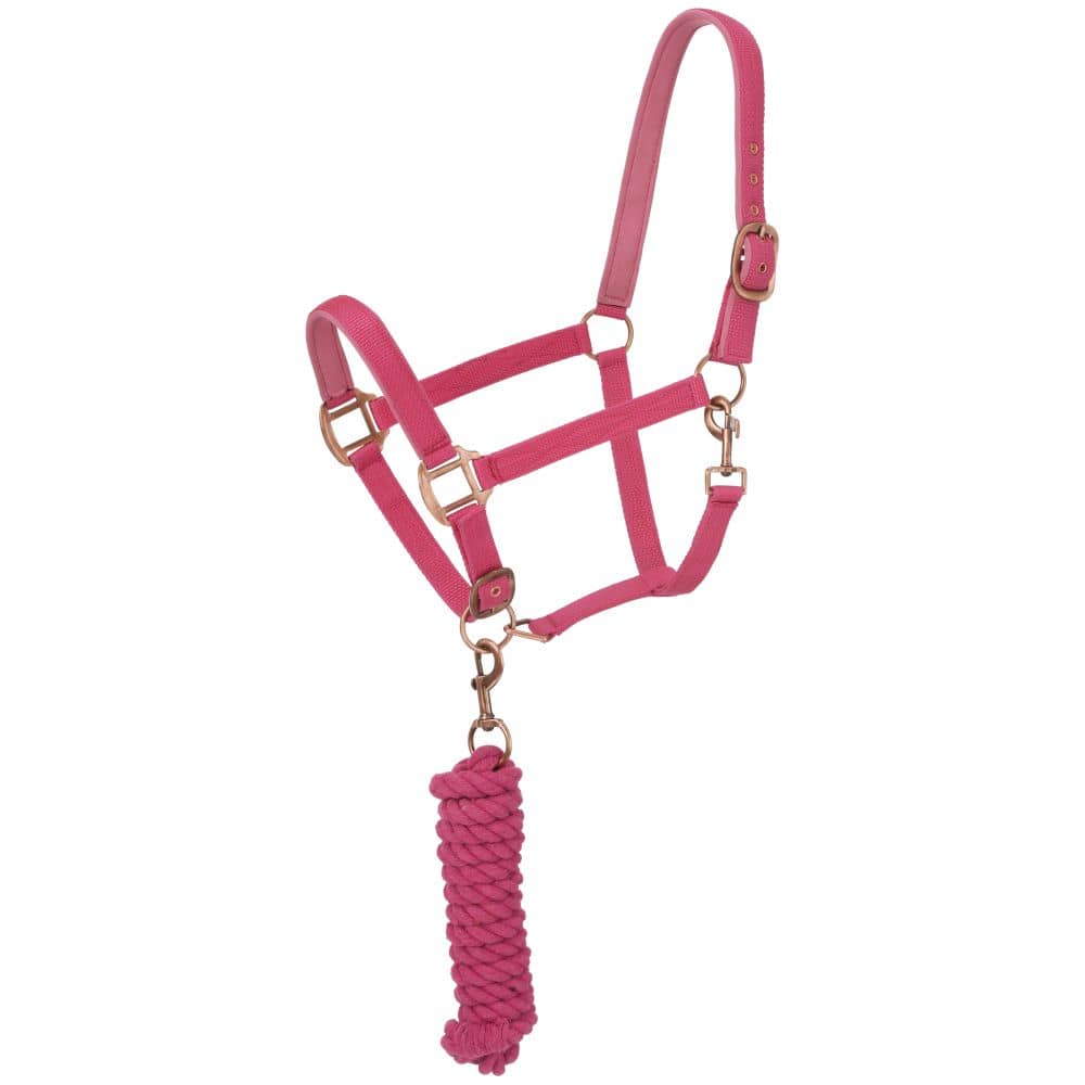 Tough1® Padded Horse Halter with Antique Hardware and Lead Rope