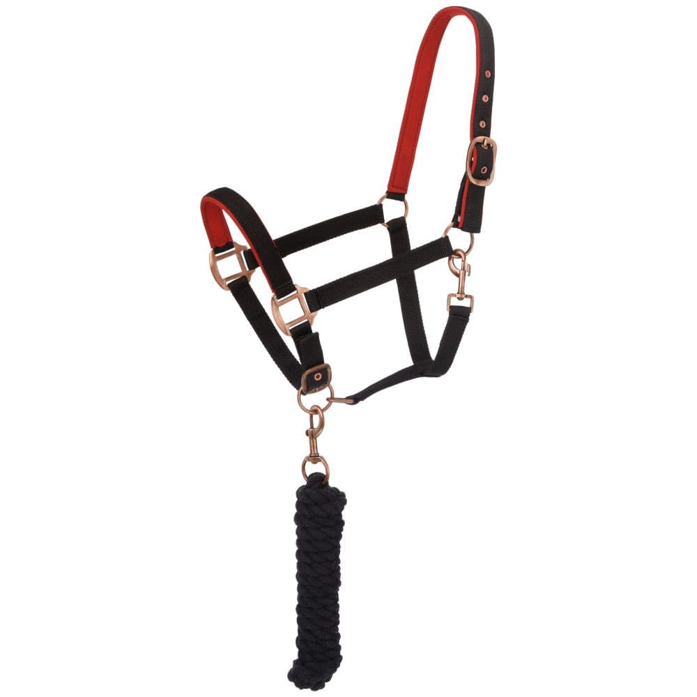 Tough1® Padded Horse Halter with Antique Hardware and Lead Rope