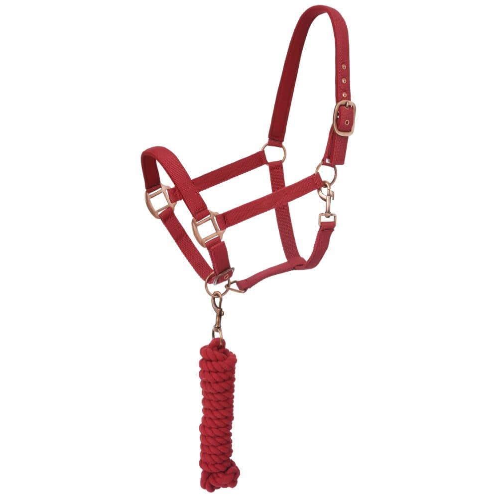 Tough1® Padded Horse Halter with Antique Hardware and Lead Rope