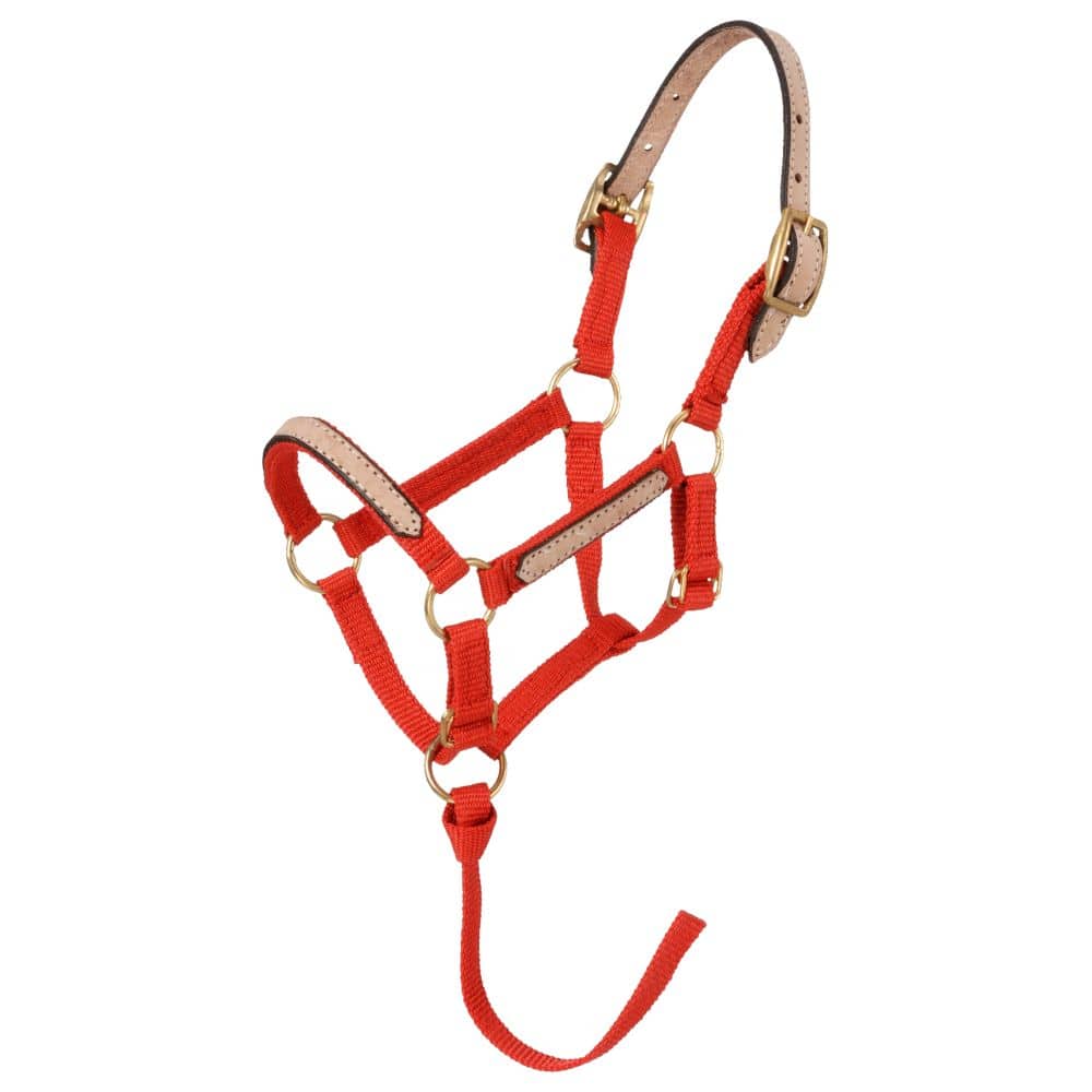 Tough1® Miniature Nylon Breakaway Halter - 6 Pack