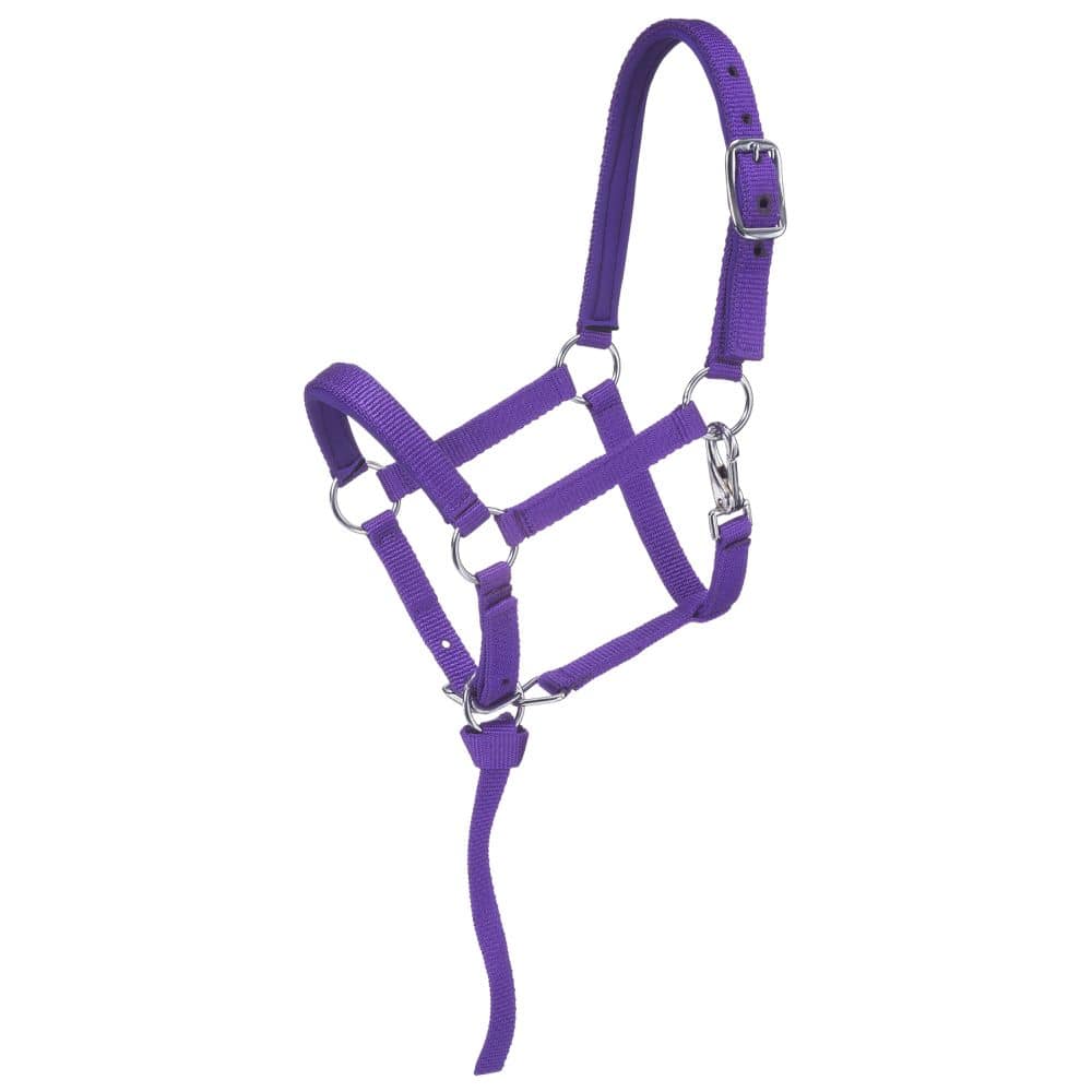 Tough1® Miniature Nylon Padded Halter