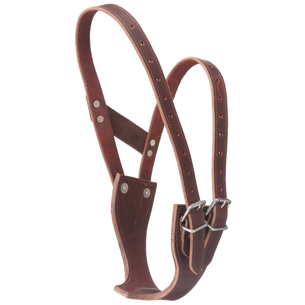 Tough1® Premium Leather Crib-Be-Gone Comfort Collar