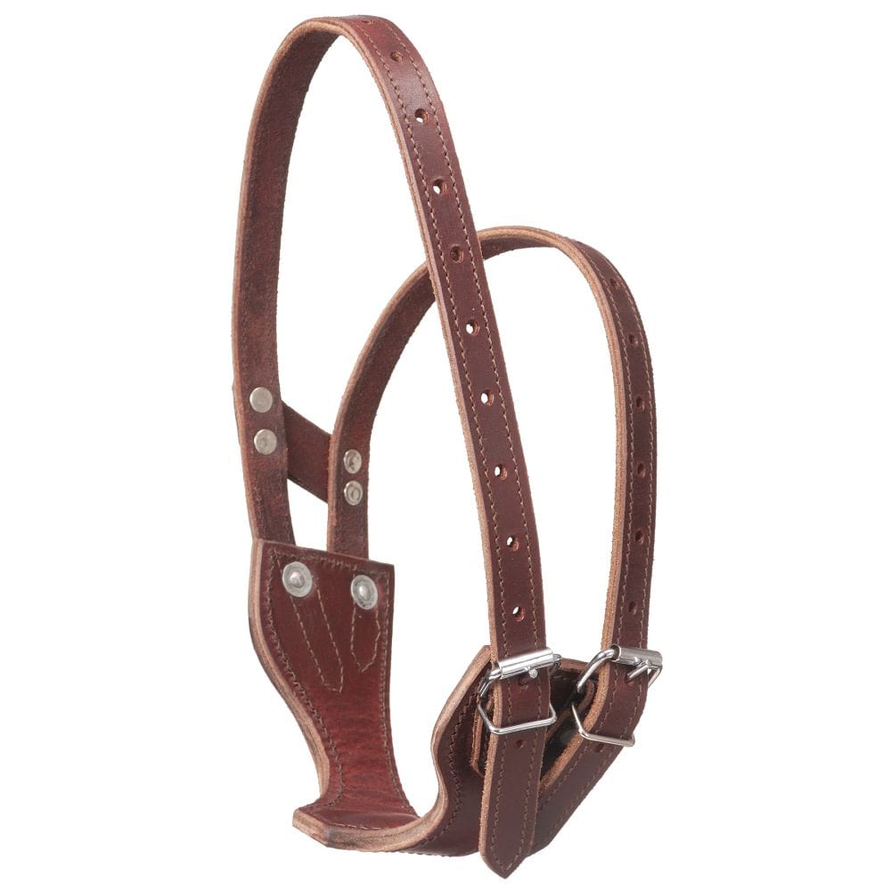 Tough1® Premium Leather Crib-Be-Gone Comfort Collar