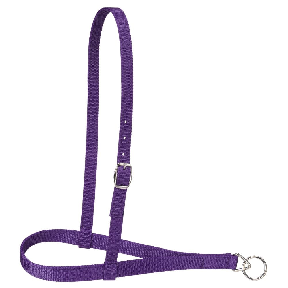 Royal King® Nylon Web Noseband