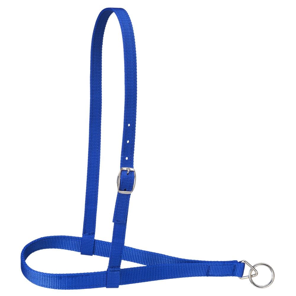 Royal King® Nylon Web Noseband