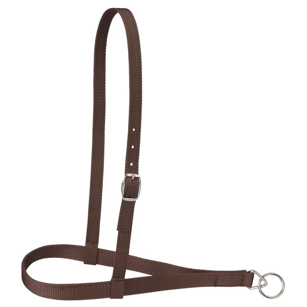 Royal King® Nylon Web Noseband