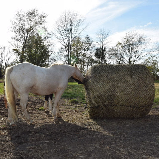 Tough 1 Deluxe 6ft x 6ft Round Bale Slow Feed Hay Net