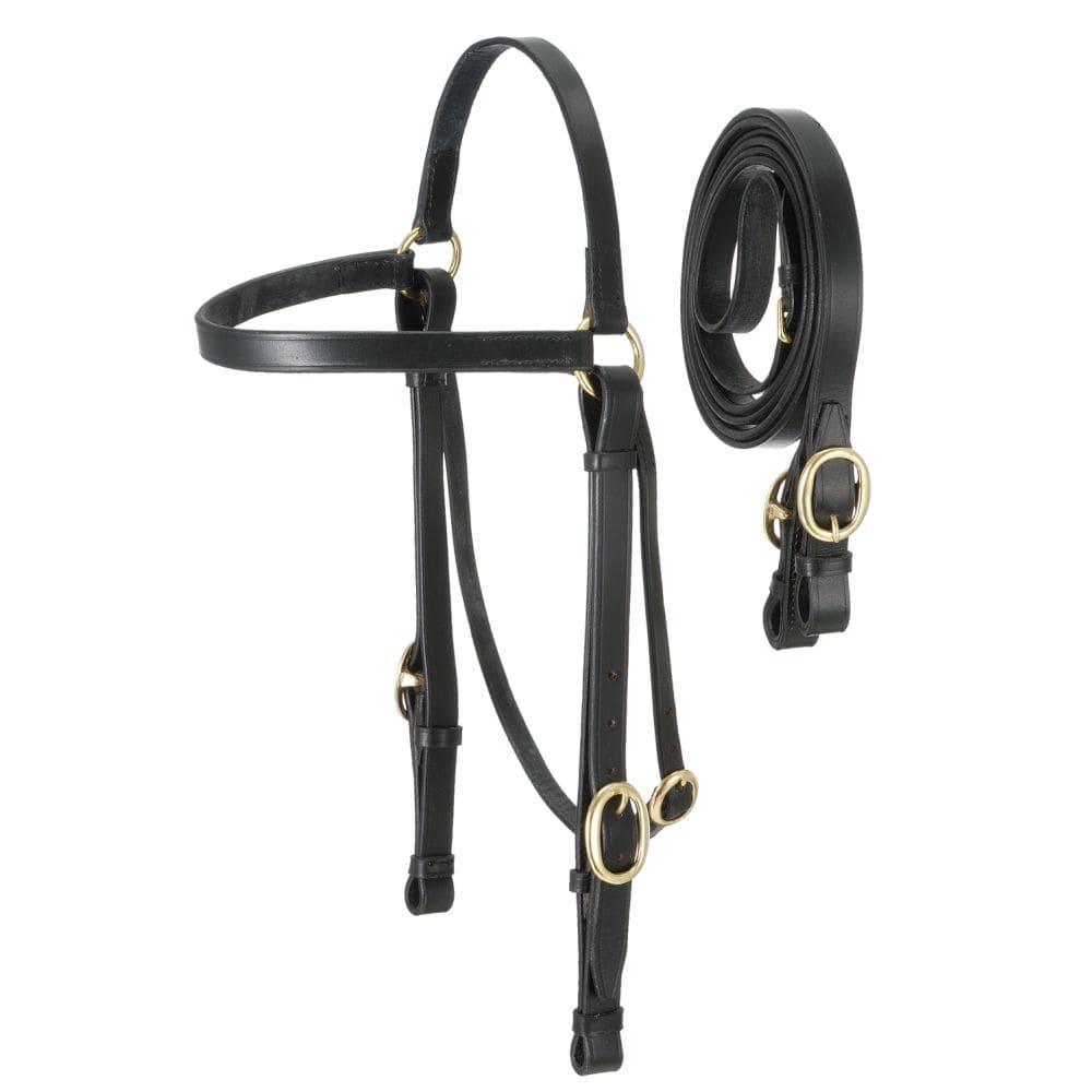 Barco Bridle & Rein