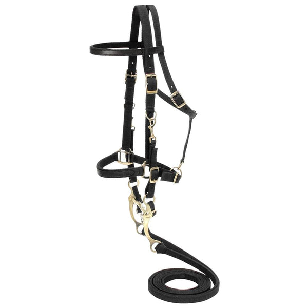 Australian Outrider Collection Nylon Bridle/Halter Combination