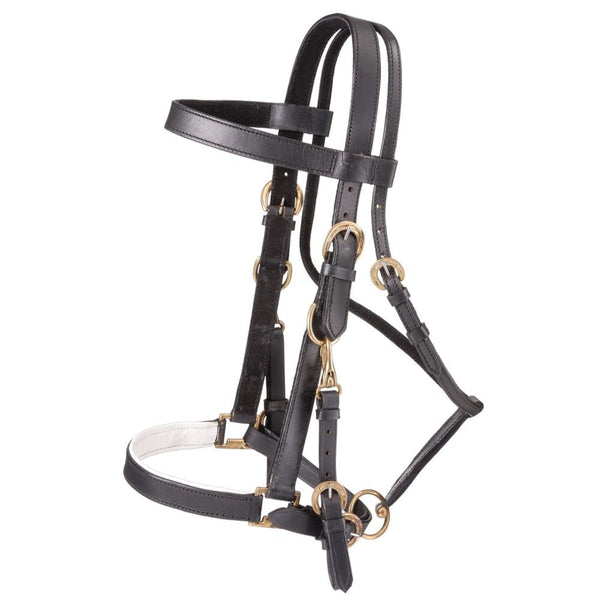 Australian Outrider Collection Leather Bridle/ Halter Combination