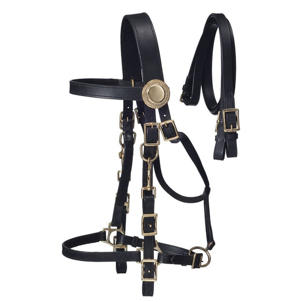 Supreme Leather Halter Bridle