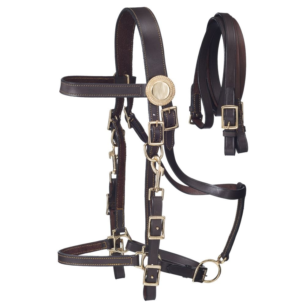 Supreme Leather Halter Bridle