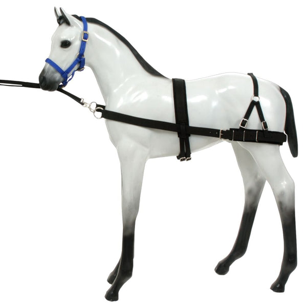 Tough-1 Foal Training Device