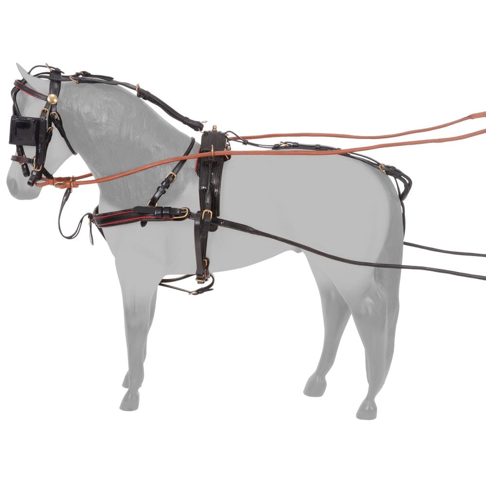 Silver Royal Show Harness