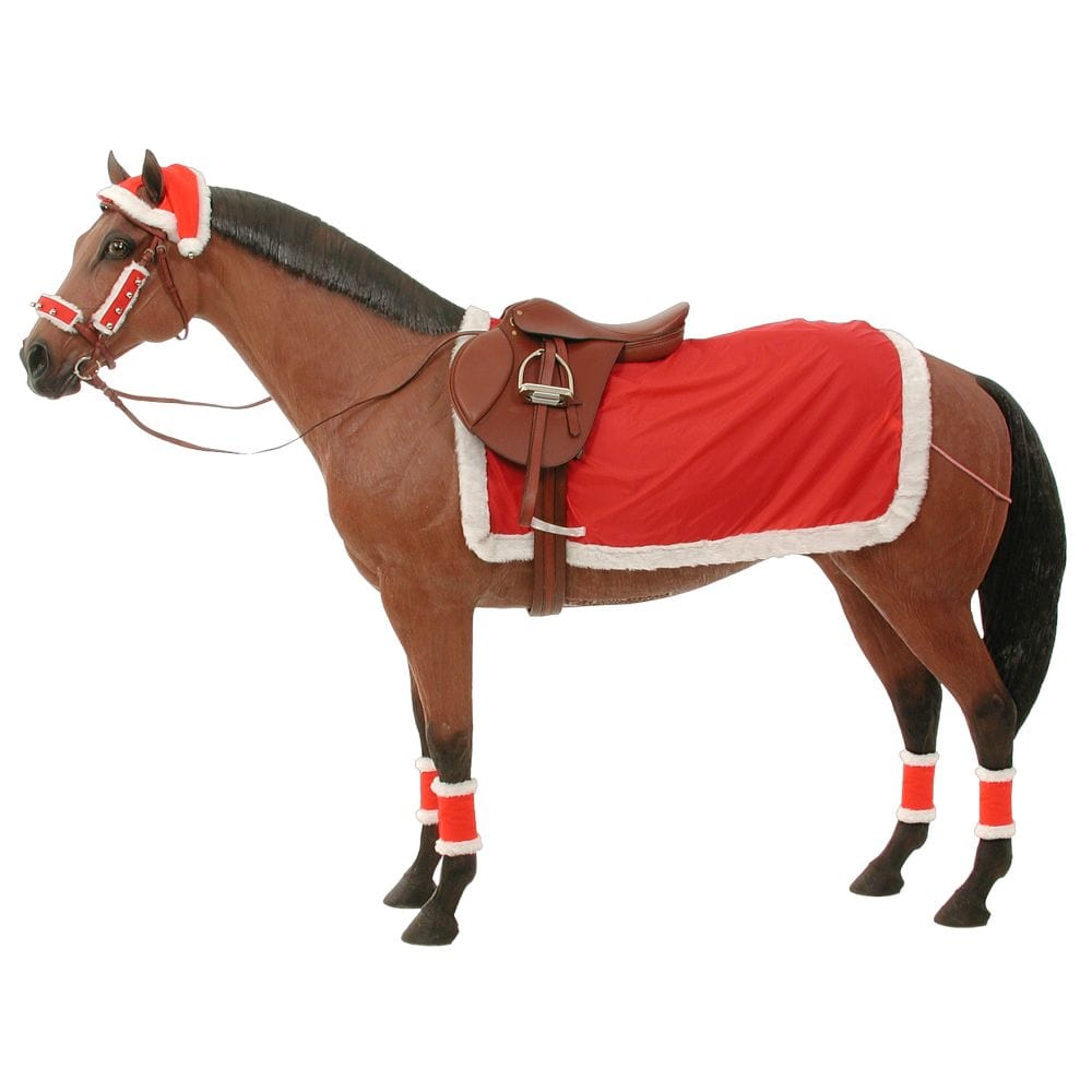 Complete Christmas Riding Set